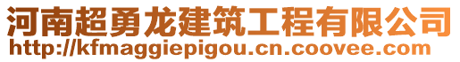 河南超勇龍建筑工程有限公司