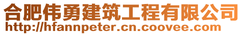 合肥偉勇建筑工程有限公司