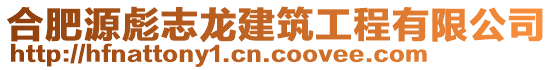 合肥源彪志龍建筑工程有限公司