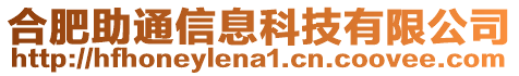 合肥助通信息科技有限公司