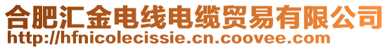 合肥匯金電線電纜貿(mào)易有限公司