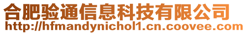 合肥驗通信息科技有限公司