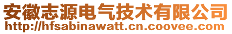 安徽志源電氣技術(shù)有限公司