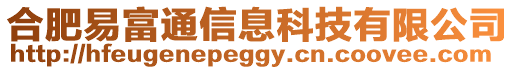 合肥易富通信息科技有限公司