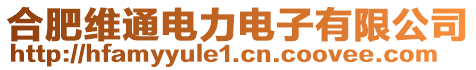 合肥維通電力電子有限公司