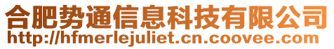 合肥勢通信息科技有限公司