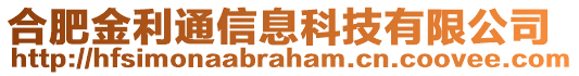 合肥金利通信息科技有限公司