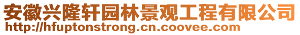 安徽興隆軒園林景觀工程有限公司