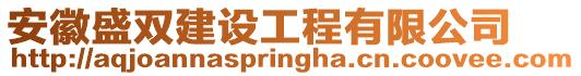 安徽盛雙建設(shè)工程有限公司