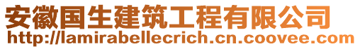 安徽國生建筑工程有限公司