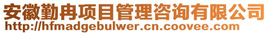 安徽勤冉项目管理咨询有限公司