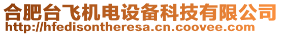 合肥臺飛機電設(shè)備科技有限公司