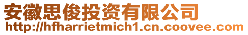 安徽思俊投資有限公司