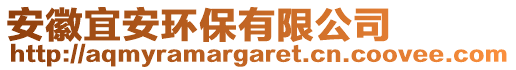 安徽宜安環(huán)保有限公司