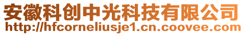 安徽科創(chuàng)中光科技有限公司