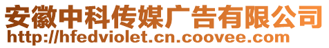 安徽中科傳媒廣告有限公司