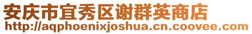 安慶市宜秀區(qū)謝群英商店