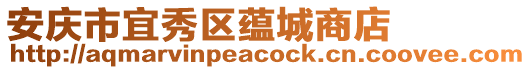 安慶市宜秀區蘊城商店