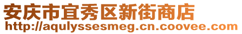 安慶市宜秀區(qū)新街商店