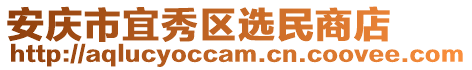 安慶市宜秀區(qū)選民商店