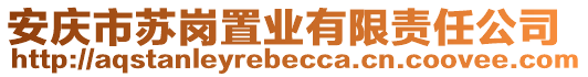 安慶市蘇崗置業有限責任公司