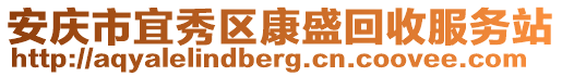 安慶市宜秀區康盛回收服務站