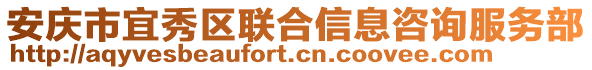 安慶市宜秀區聯合信息咨詢服務部