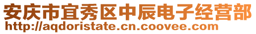 安慶市宜秀區(qū)中辰電子經(jīng)營部