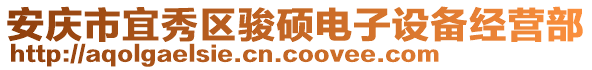 安慶市宜秀區駿碩電子設備經營部