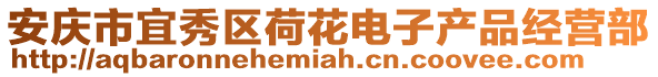 安慶市宜秀區荷花電子產品經營部