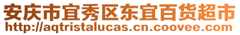 安慶市宜秀區(qū)東宜百貨超市
