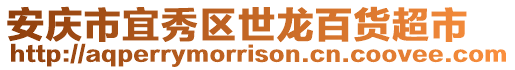安慶市宜秀區(qū)世龍百貨超市