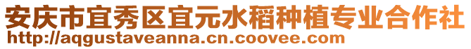 安慶市宜秀區(qū)宜元水稻種植專業(yè)合作社