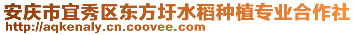 安慶市宜秀區(qū)東方圩水稻種植專業(yè)合作社