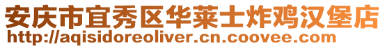 安慶市宜秀區華萊士炸雞漢堡店