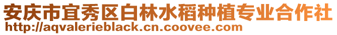 安慶市宜秀區白林水稻種植專業合作社