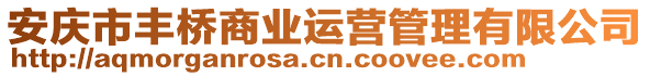 安慶市豐橋商業(yè)運(yùn)營管理有限公司