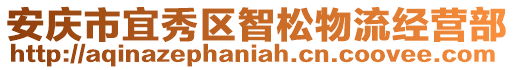 安慶市宜秀區(qū)智松物流經(jīng)營部