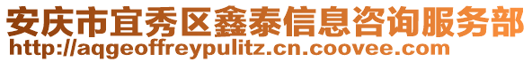 安慶市宜秀區(qū)鑫泰信息咨詢服務(wù)部