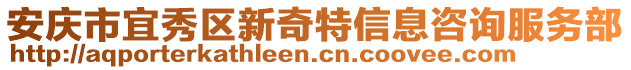 安慶市宜秀區(qū)新奇特信息咨詢服務(wù)部