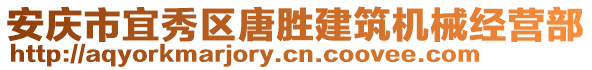 安慶市宜秀區(qū)唐勝建筑機械經(jīng)營部