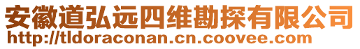 安徽道弘遠四維勘探有限公司