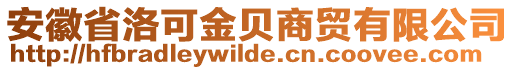 安徽省洛可金貝商貿(mào)有限公司