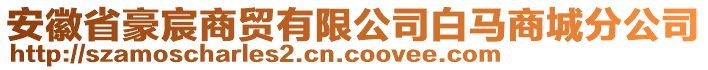 安徽省豪宸商貿(mào)有限公司白馬商城分公司