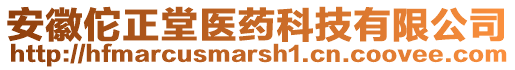 安徽佗正堂医药科技有限公司