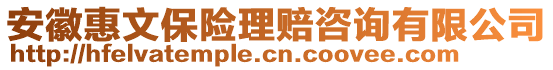 安徽惠文保險(xiǎn)理賠咨詢有限公司