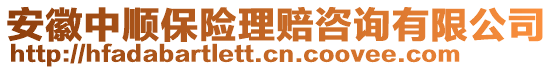 安徽中順保險(xiǎn)理賠咨詢有限公司