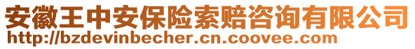 安徽王中安保險索賠咨詢有限公司