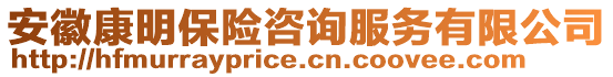 安徽康明保險咨詢服務有限公司