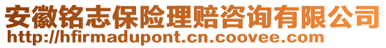 安徽銘志保險理賠咨詢有限公司